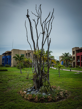 M0340218