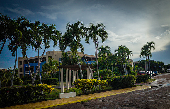 M0340260